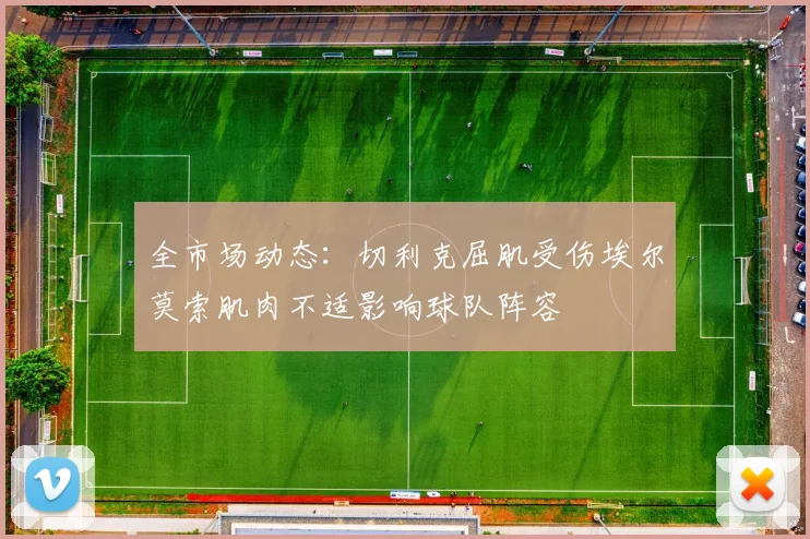 全市场动态：切利克屈肌受伤埃尔莫索肌肉不适影响球队阵容