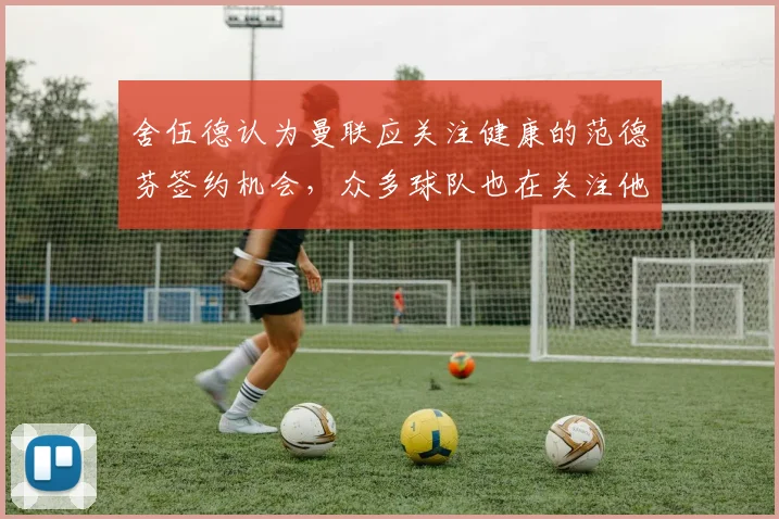 舍伍德认为曼联应关注健康的范德芬签约机会，众多球队也在关注他